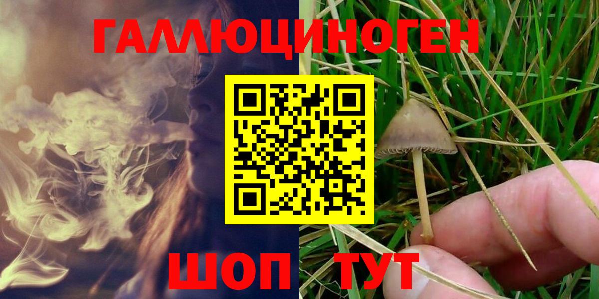 Галлюциногенные грибы Psilocybine cubensis Сергиев Посад