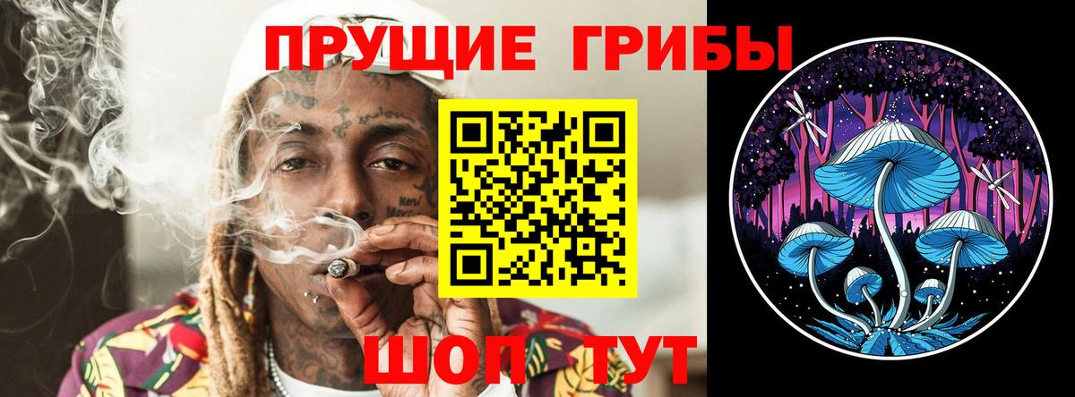 Псилоцибиновые грибы Psilocybine cubensis  Вход с VPN  Сергиев Посад  сколько стоит  Псилоцибиновые грибы мухоморы 
